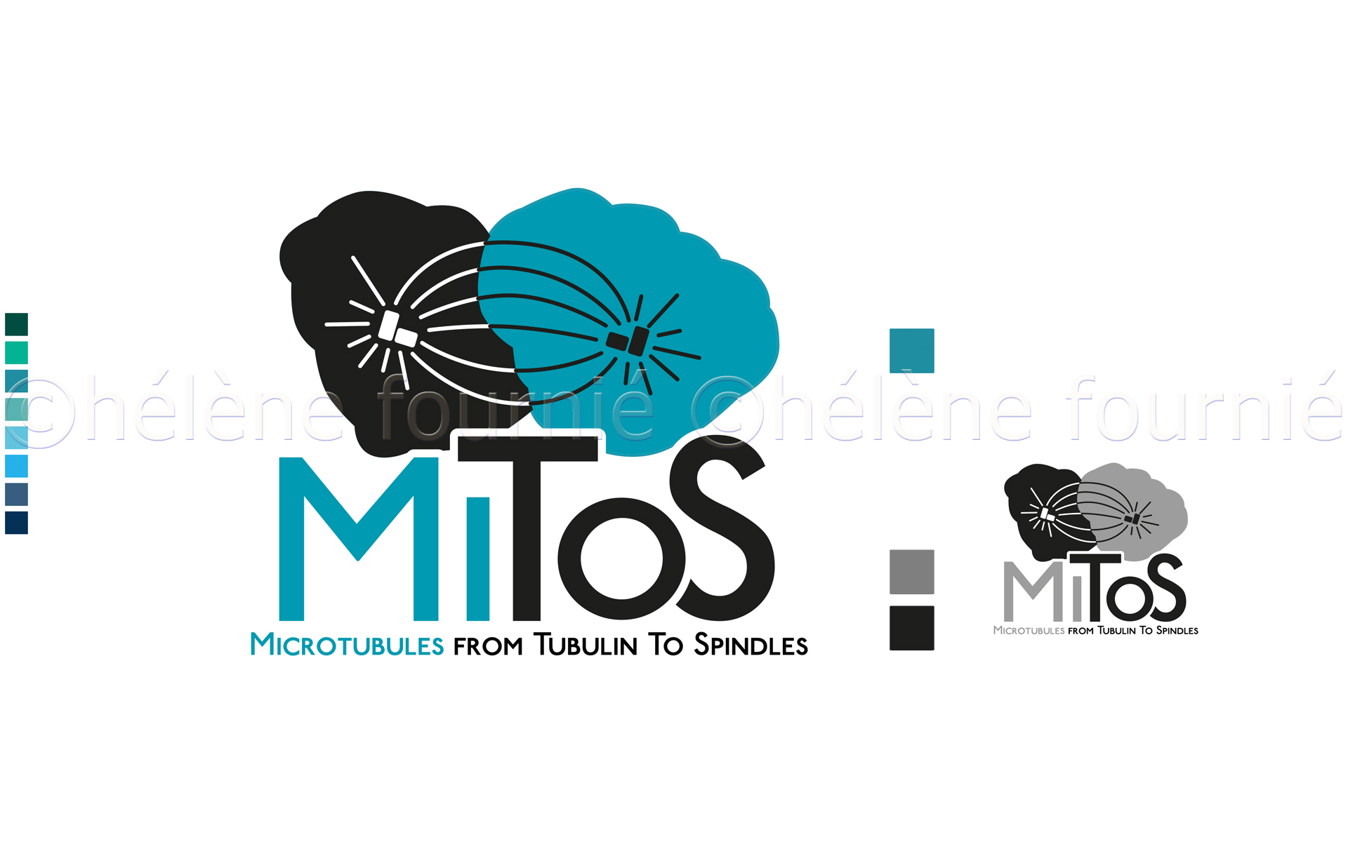 logo-MiToS
