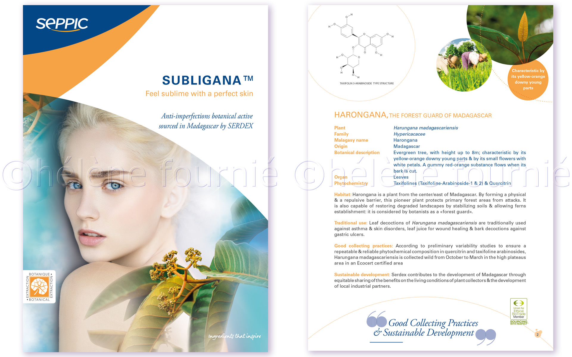 Leaflet Subligana 