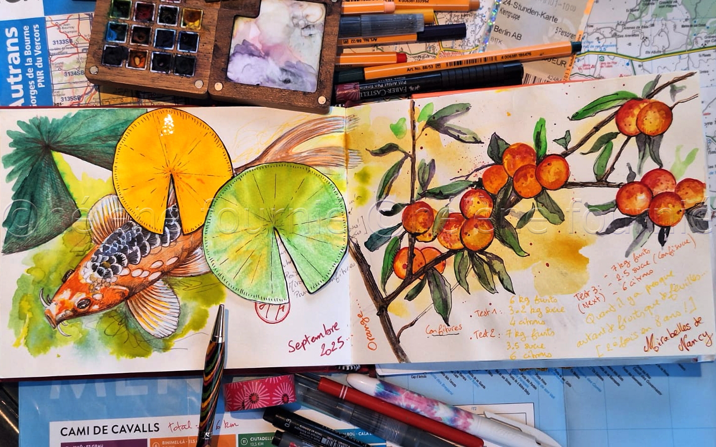 Retrospective carnet 2025