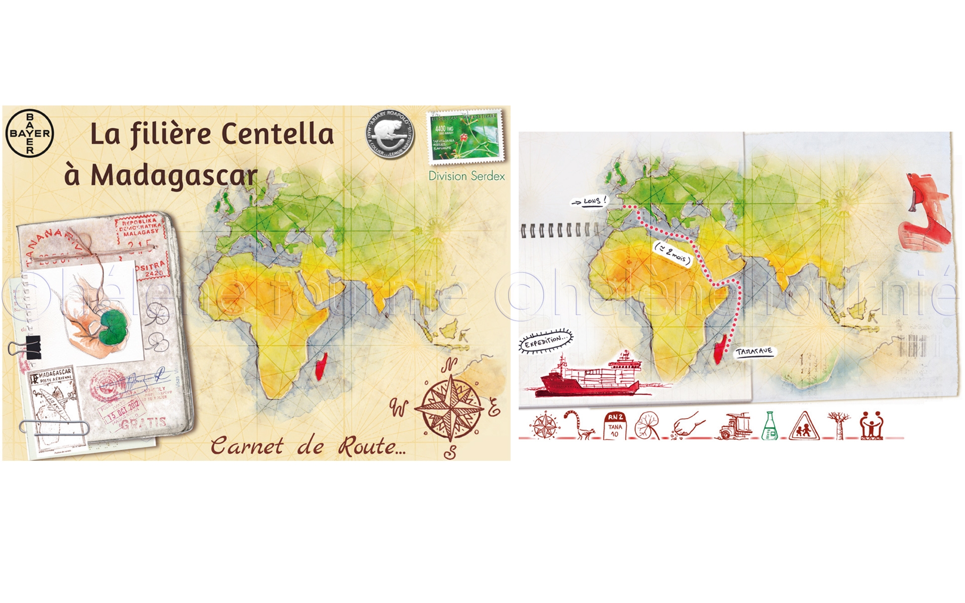 Madagascar: Centella's road book