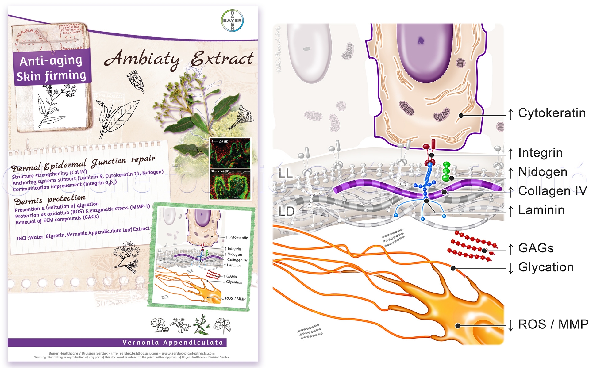 Fiche produit-dermato Ambiaty