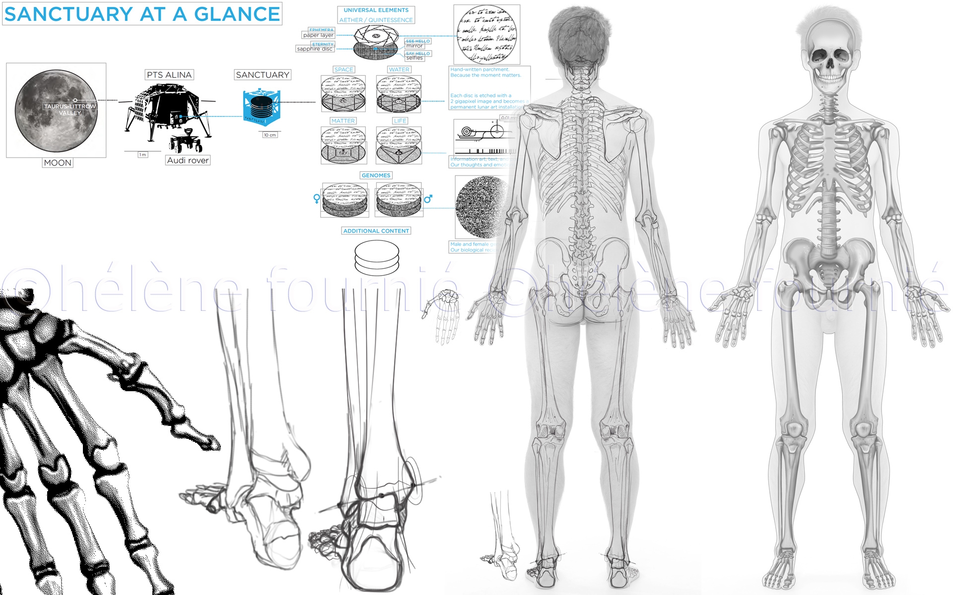 Sanctuary-on-the-moon-anatomie