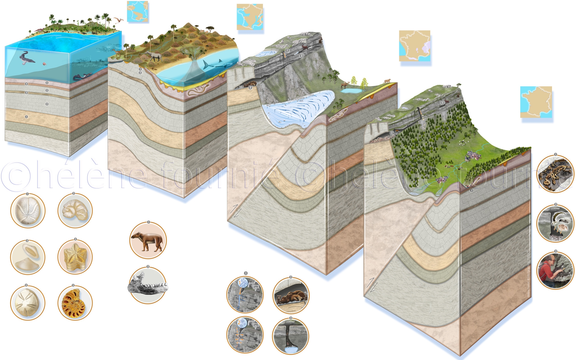 geologie-mosasaure